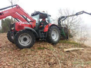 Bortforsling av ris till flisning