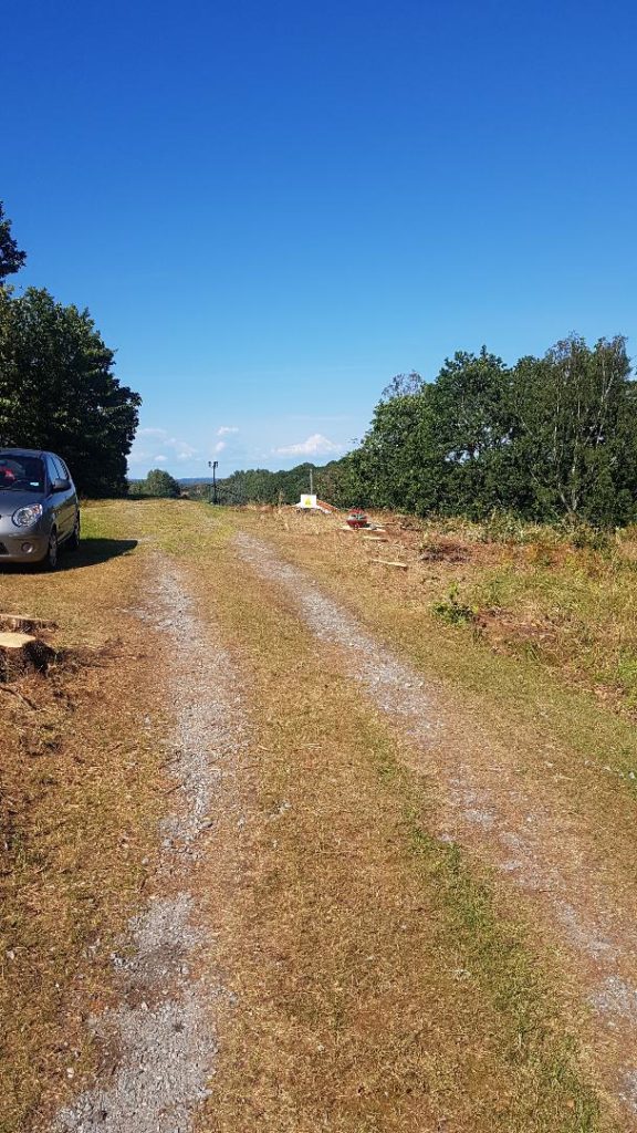 Efter trädfällning i Orust