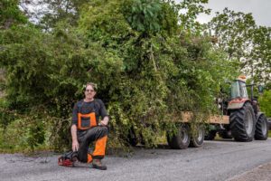 Bortforsling & Trädfällning Svanesund