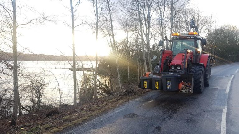 Gallring Träd efter