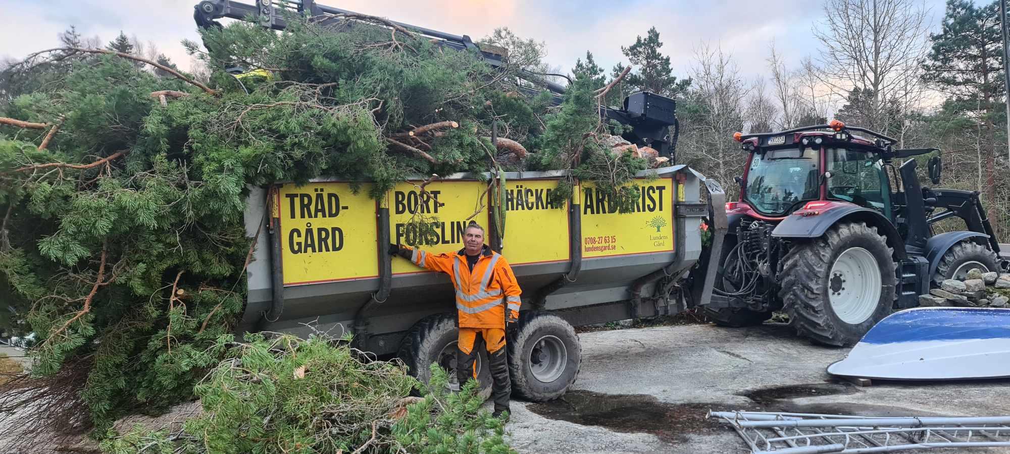 Riskärra
